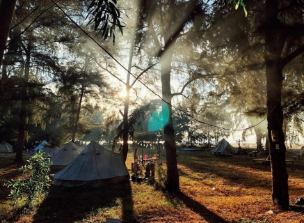 Những Địa Điểm Tổ Chức Team Building Vũng Tàu Không Thể Bỏ Qua