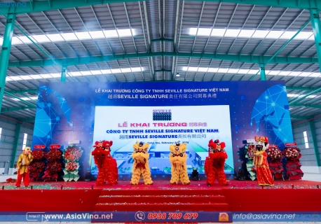 Đội múa lân sư rồng